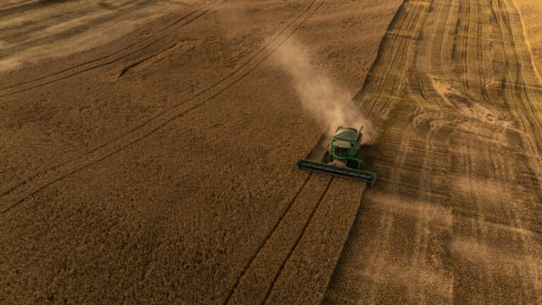 Produção de Cevada no Brasil: Crescimento e Desafios para o Setor