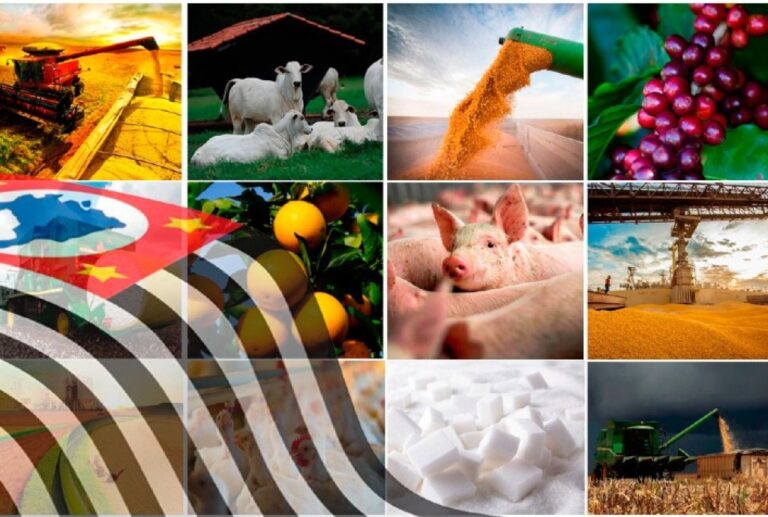 Tensões no Oriente Médio: Implicações para o Agronegócio Paulista e Nacional