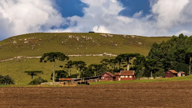 Abuso Patrimonial no Agronegócio: Um Crime Silencioso que Desestrutura Famílias e Propriedades