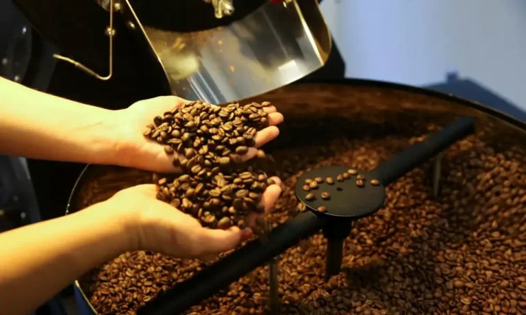Bahia Se Destaca na Produção de Café, Mas Safra Deve Cair em 2026 Bahia Se Destaca na Produção de Café, Mas Safra Deve Cair em 2026