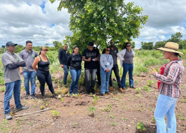 Cursos Técnicos em Agronegócio: Novas Oportunidades de Qualificação em Mato Grosso