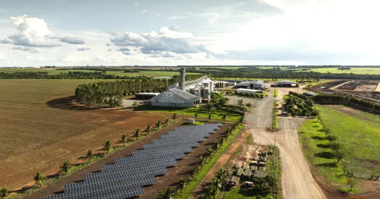 Digitalização no Agronegócio: Maior Produtividade e Redução de Custos