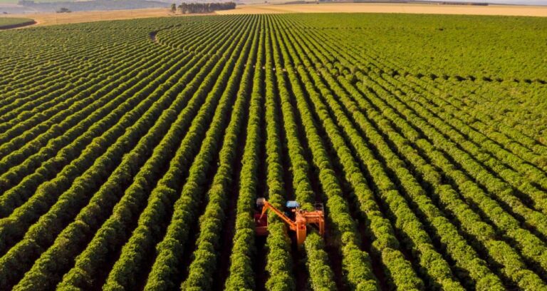 Inadimplência no Agronegócio: Perspectivas do Banco do Brasil à Luz do BTG Pactual Inadimplência no Agronegócio: Perspectivas do Banco do Brasil à Luz do BTG Pactual