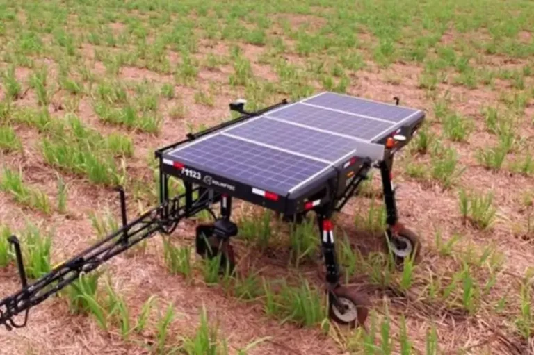 Inovação Sustentável: Robô Autônomo Movido a Energia Solar Revoluciona o Agronegócio