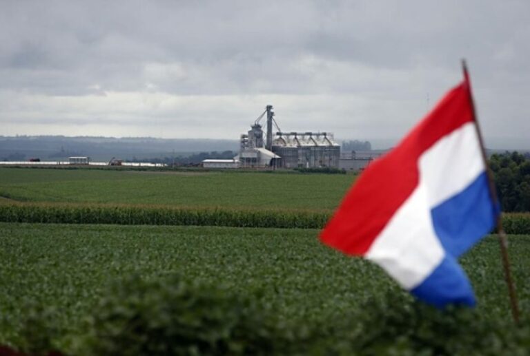 Paraguai Alcança Safra Recorde de Soja e Pode Chegar a 12 Milhões de Toneladas em 2026