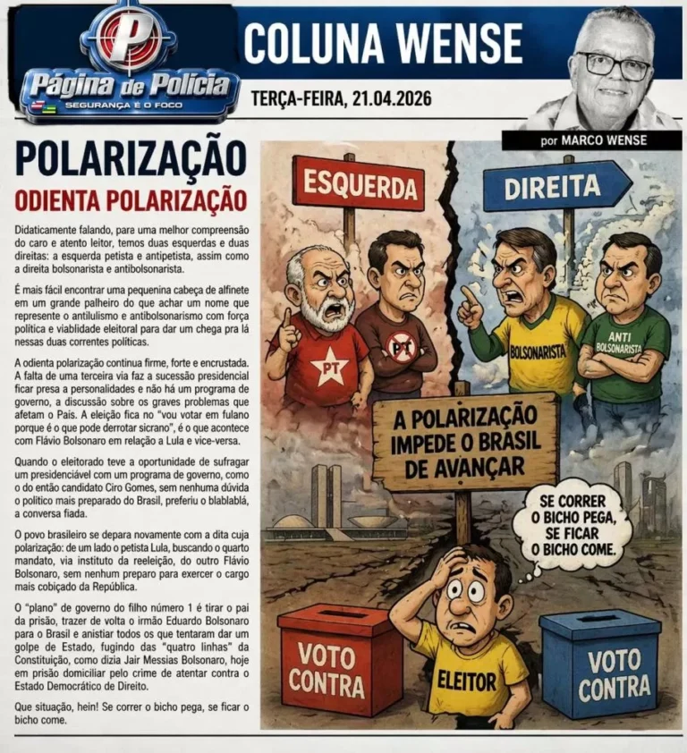 Polarização Política: Desafios e Oportunidades para o Eleitorado Brasileiro