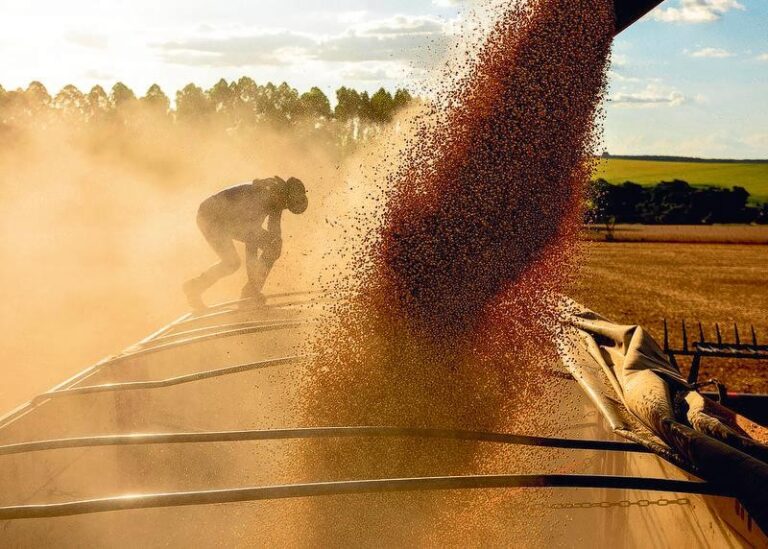 Práticas Sustentáveis Impulsionam o Agronegócio Brasileiro