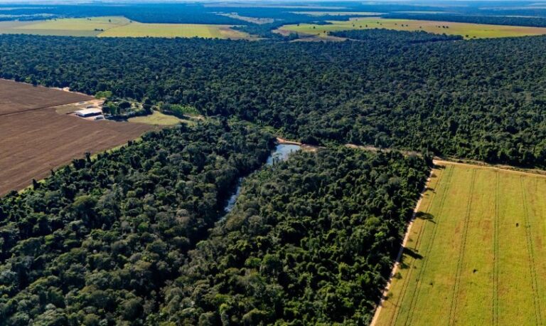 Produção e Sustentabilidade: O Compromisso do Agronegócio em Mato Grosso