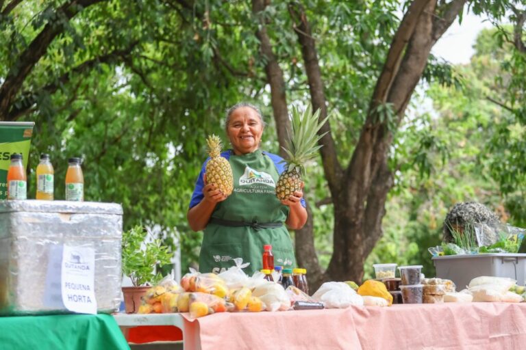 Quitanda da Agricultura Familiar: Um Festival de Sabores e Culturas em Parnaíba