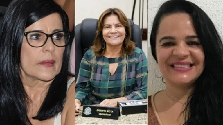 Produção Feminina na Câmara Municipal de Feira de Santana: Análise dos Projetos de Lei (2025)