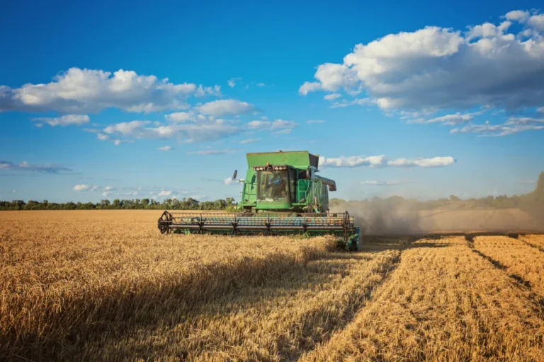Agronegócio Brasileiro Alcança Recorde de 601 Novos Mercados Internacionais