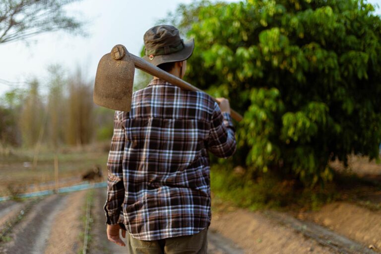 Agronegócio brasileiro atinge recorde de empregos em 2025