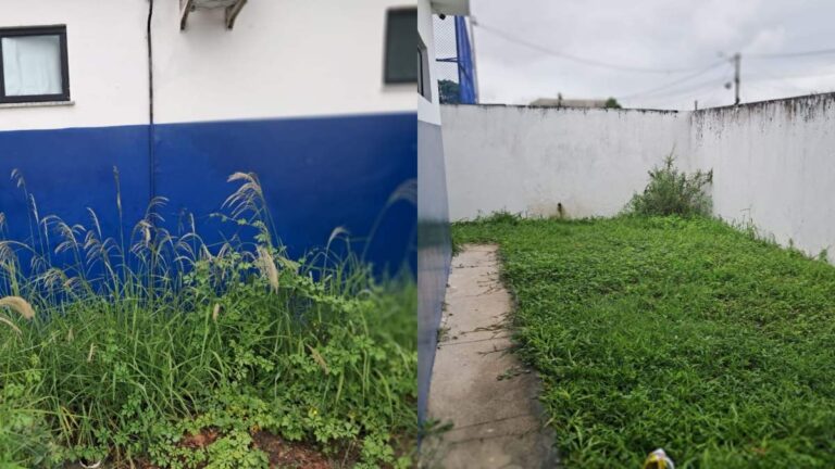 Problemas Urbanos em Feira de Santana: Debate na Câmara Municipal Após Programa Acorda Cidade