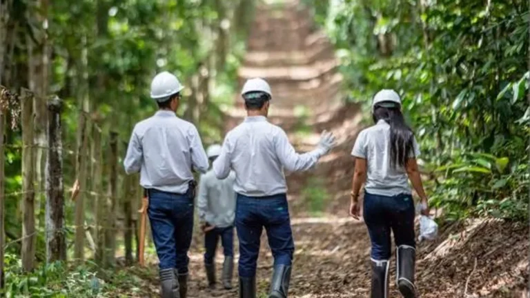Veracel impulsiona R$ 409 milhões na economia do Sul da Bahia e preserva mais de 100 mil hectares de Mata Atlântica em 2025 Veracel impulsiona R$ 409 milhões na economia do Sul da Bahia e preserva mais de 100 mil hectares de