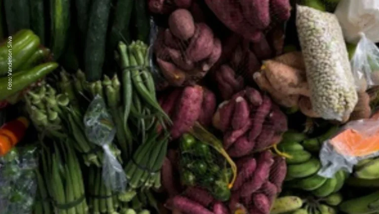 Salvador recebe 5º Encontro Nacional de Pesquisas em Gastronomias com foco em cultura alimentar e sa