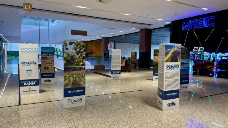 Mutirão e Exposição em Lauro de Freitas Debatem Cultura Oceânica e Sustentabilidade