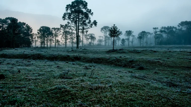 Mais frio e chuva acima da média: veja o clima no Brasil em julho 2026