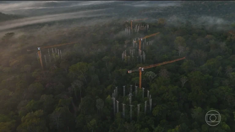 Conheça a máquina na Amazônia que simula o clima do futuro e seus impactos locais Conheça a máquina na Amazônia que simula o clima do futuro e seus impactos locais
