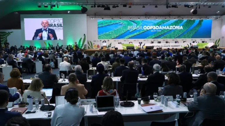 O Declínio do Jornalismo Climático e Seu Impacto no Cotidiano O Declínio do Jornalismo Climático e Seu Impacto no Cotidiano